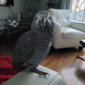 Meet your Posher, John